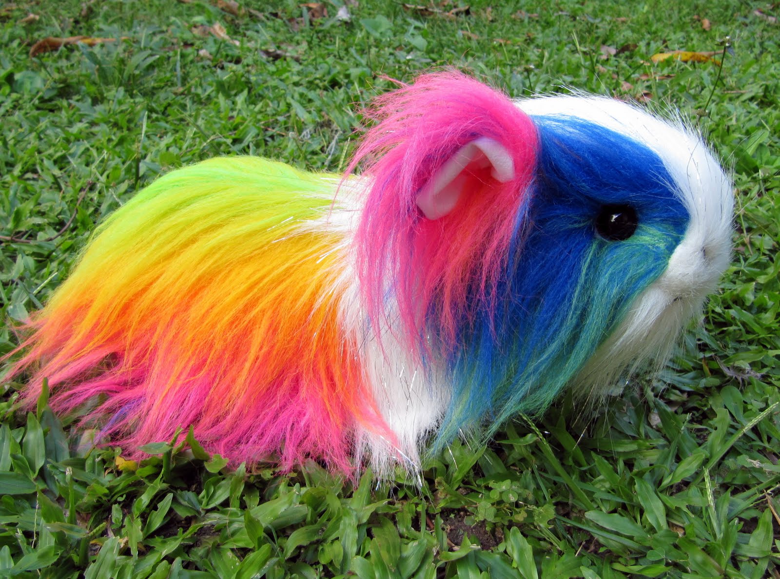 All Things Guinea Pig Toy Piggies