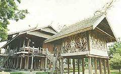Dina Y Wulandari: Rumah adat dayak kalimantan