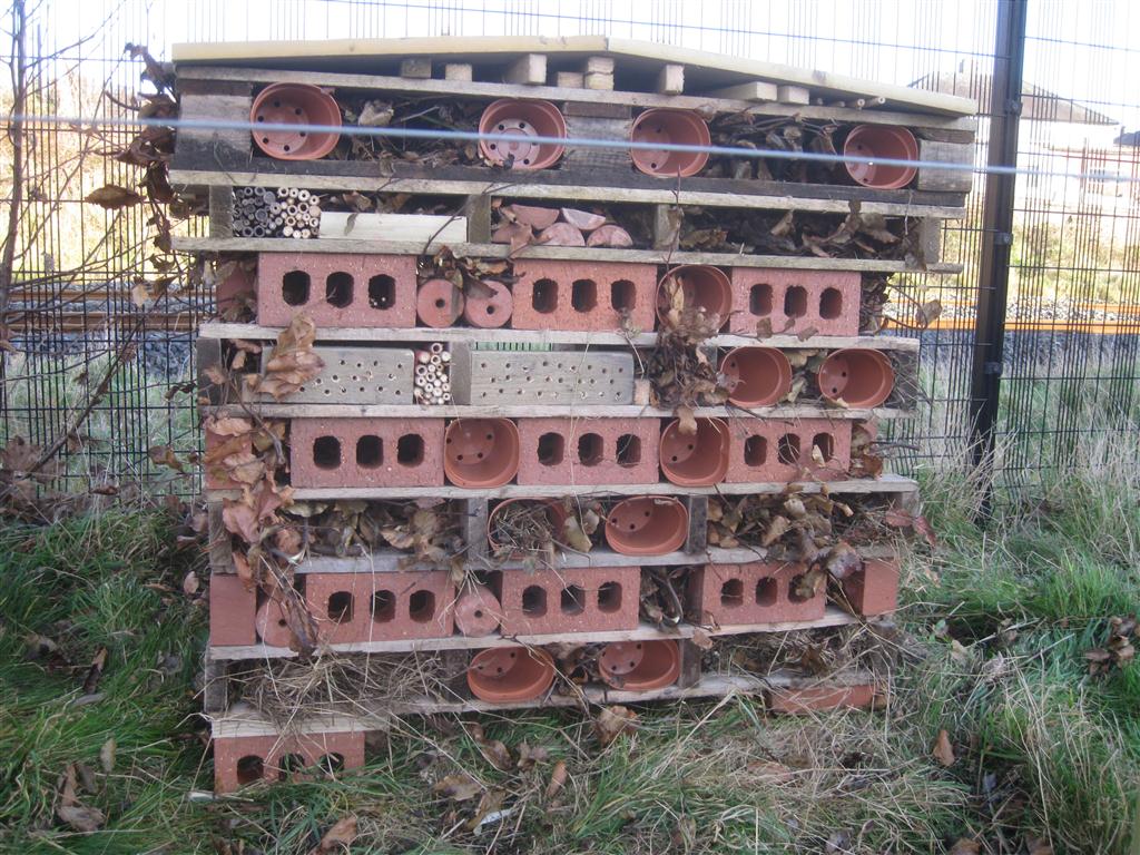 Minibeast Hotel