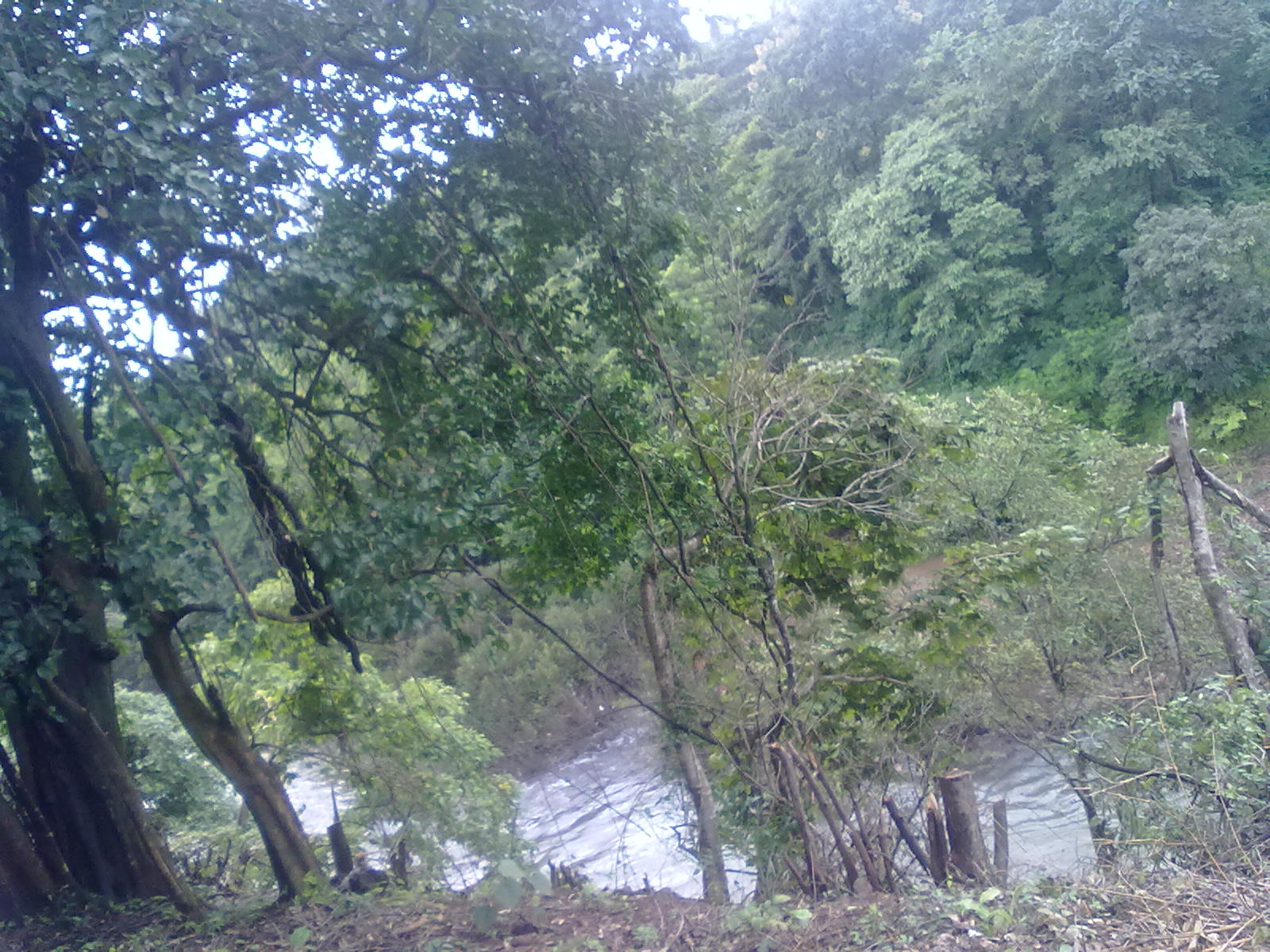 उत्तम फार्मवरुन दिसणारी नदी