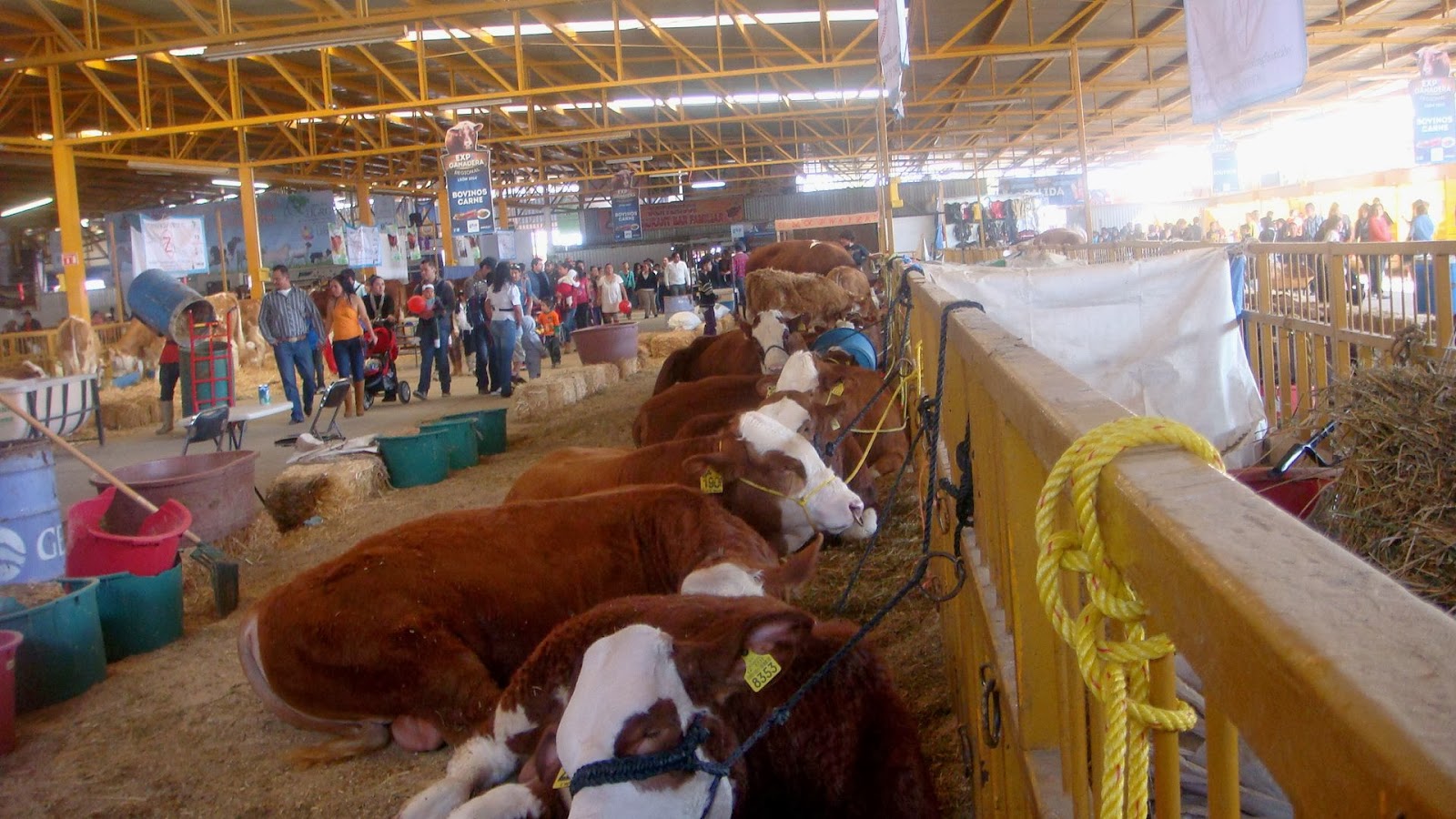 Ciudades mexicanas Estand Ganadero en Fería de Léon Gto 2014