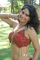 Sriji, hot, and, sexy, navel, pics