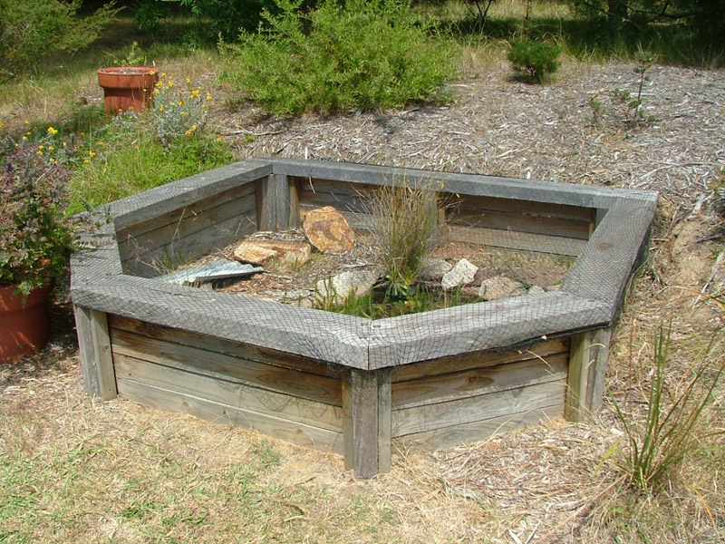 Homemade Turtle Tanks Turtle Aquariums A Turtle Tank Set Up Differs From a Fish Tank!