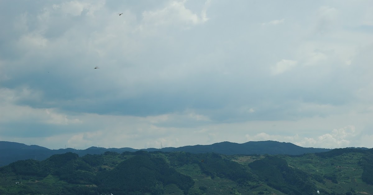 メディアを育てる経済記事批評 逃げ切り 選んだ日経ビジネス 飯田展久編集長へ贈る言葉