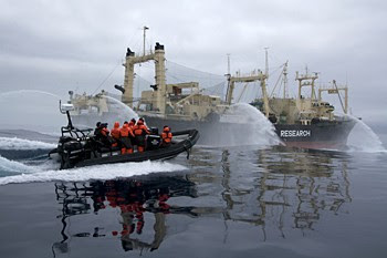 Sea Shepherd takes the battle back to the high seas