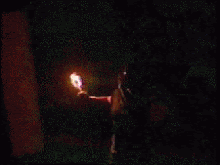 d.gif