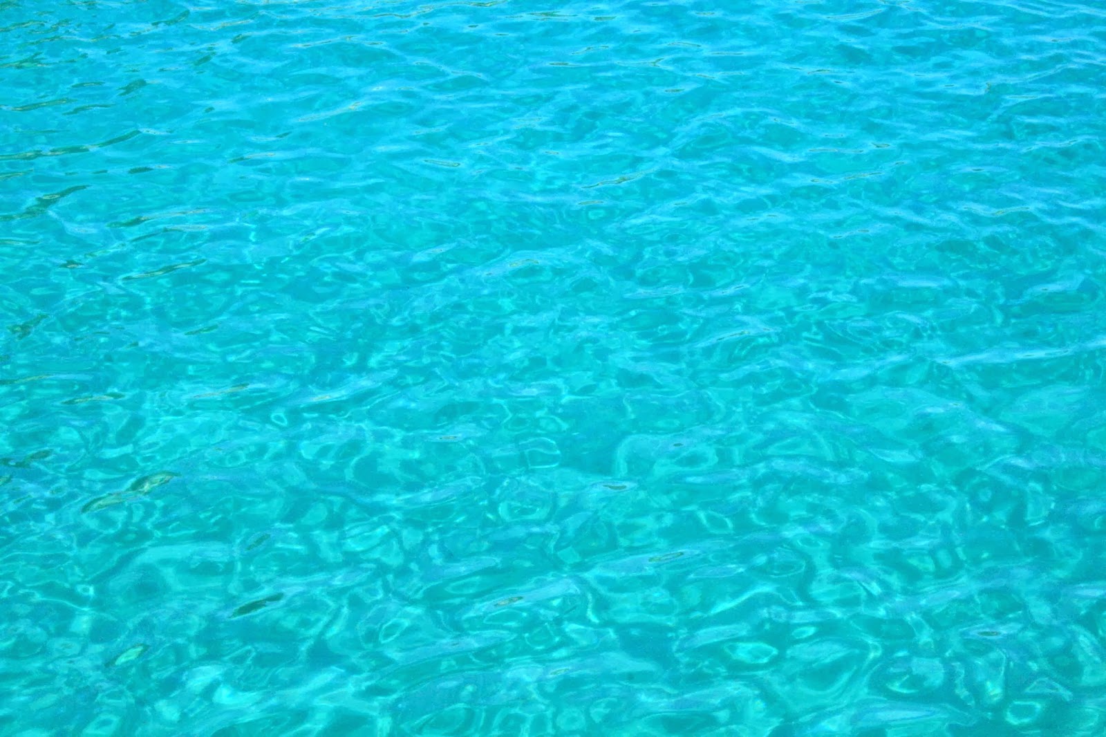 @gladysafan Photographer: ¿Azul o verde turquesa?