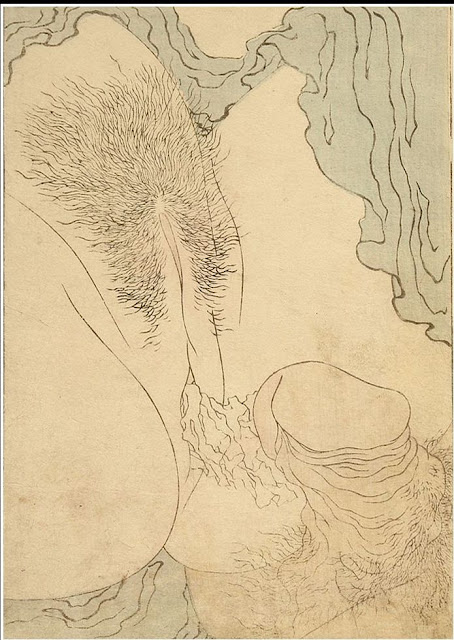 TRANH SHUNGA XUÂN HỌA PART 2 01b.+Hokusai+-+Shunga+-+Anatomical+Close-up+-+c.1814.-