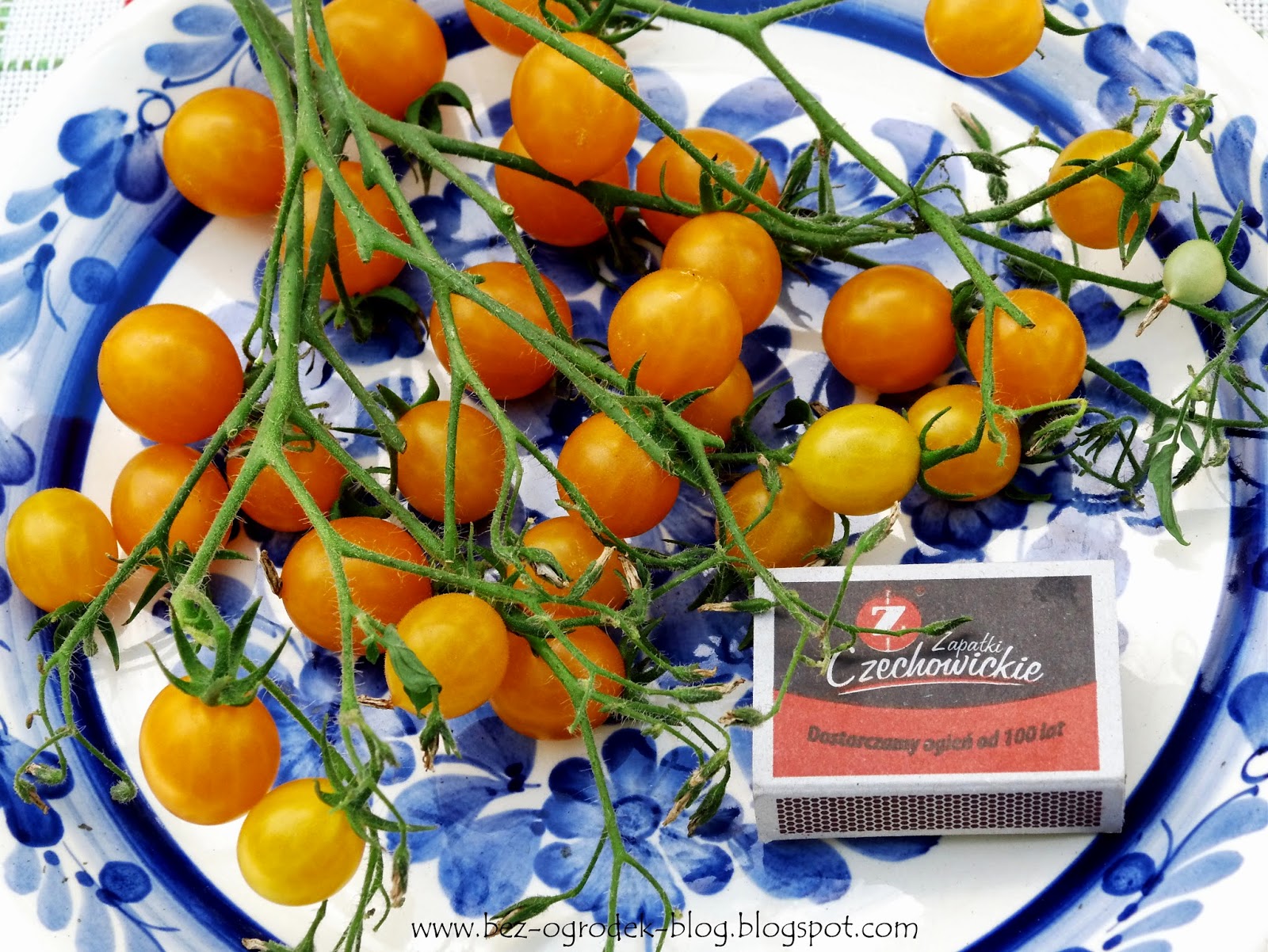 Blondkopfchen cherry tomatoes
