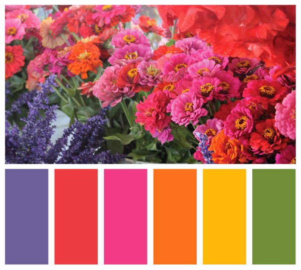 Color Swatch Palette made from a photo of flowers Color Swatch Palette made from a photo of flowers