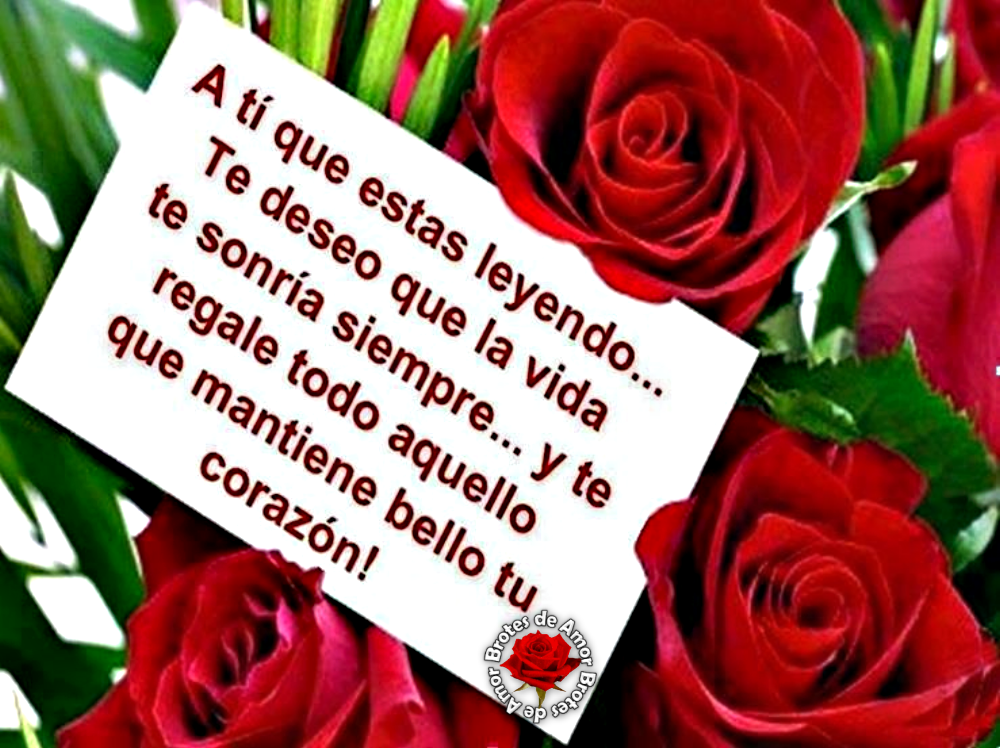 Brotes de Amor Te regalo