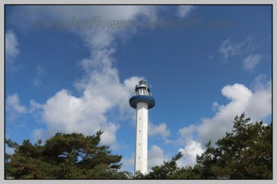 Dueodde/Bornholm