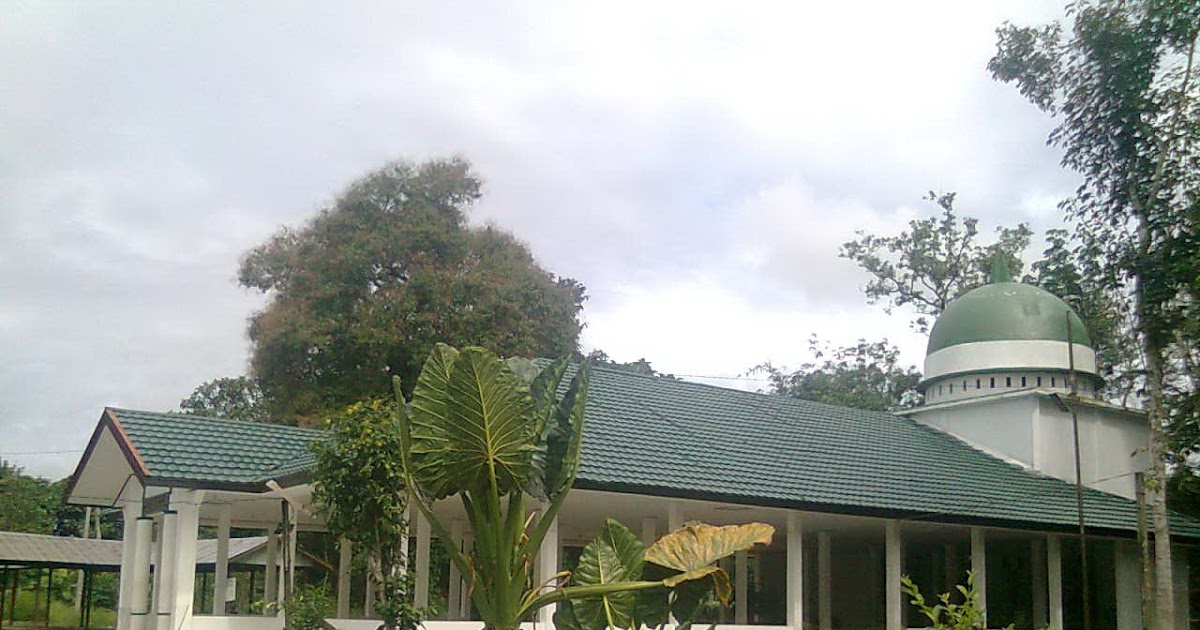 CERITA PARA WALI DAN DATU: Kisah Syech Muhammad Nafis