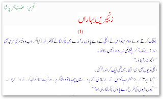 Urdu Novels Pdf Format