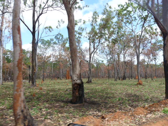 CAPE YORK'S EVER CHANGING LANDSCAPE