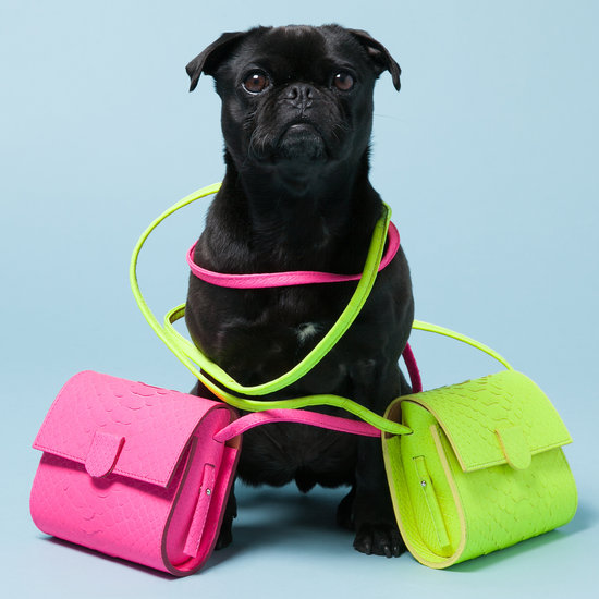 4 Getting a health certificate.