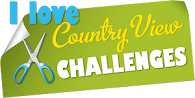 Country View Challenges