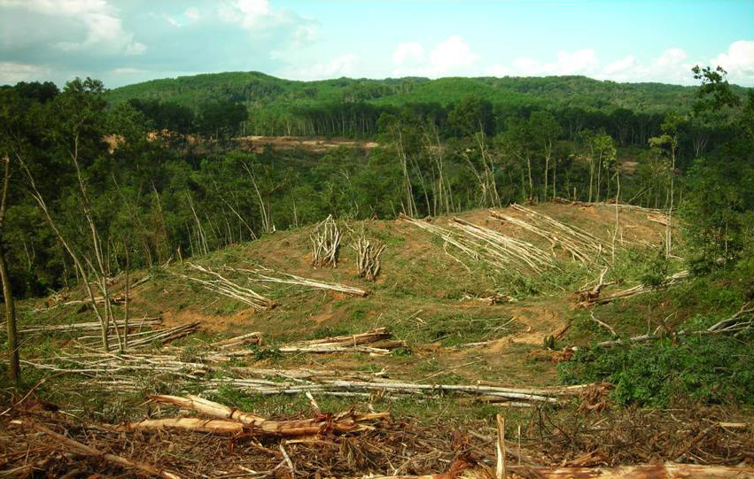 Tentang Gis Dampak Pembangunan Terhadap Lingkungan