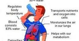 what are some functions of water in the human body