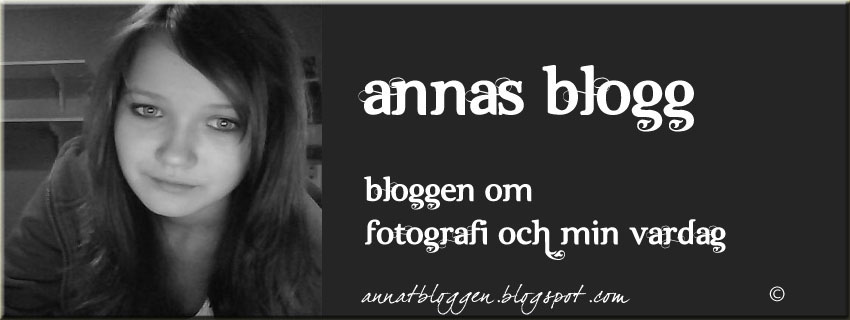 Annas blogg