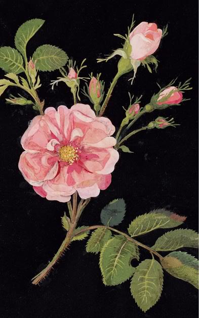 Comment Creer Un Coin Repas Dans Sa Verriere Je Dis M Food