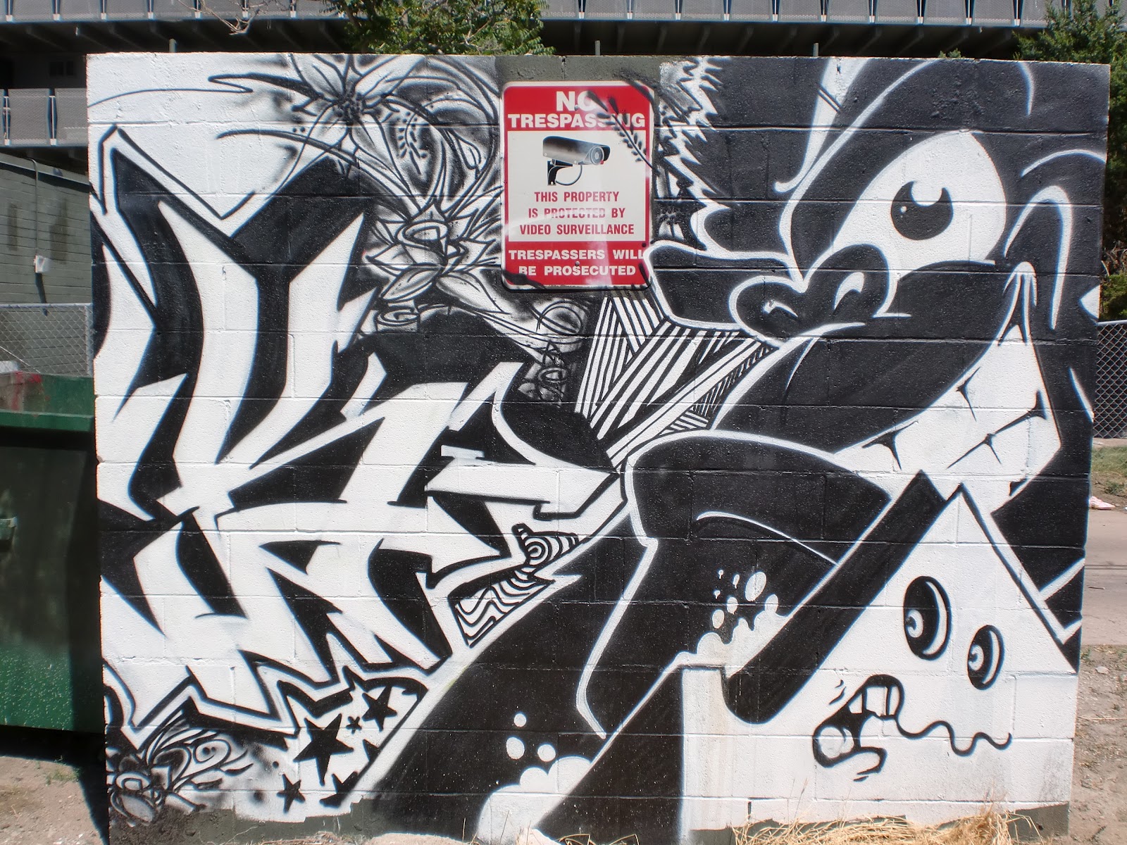 Fierce Female Graffiti Trndmrkr