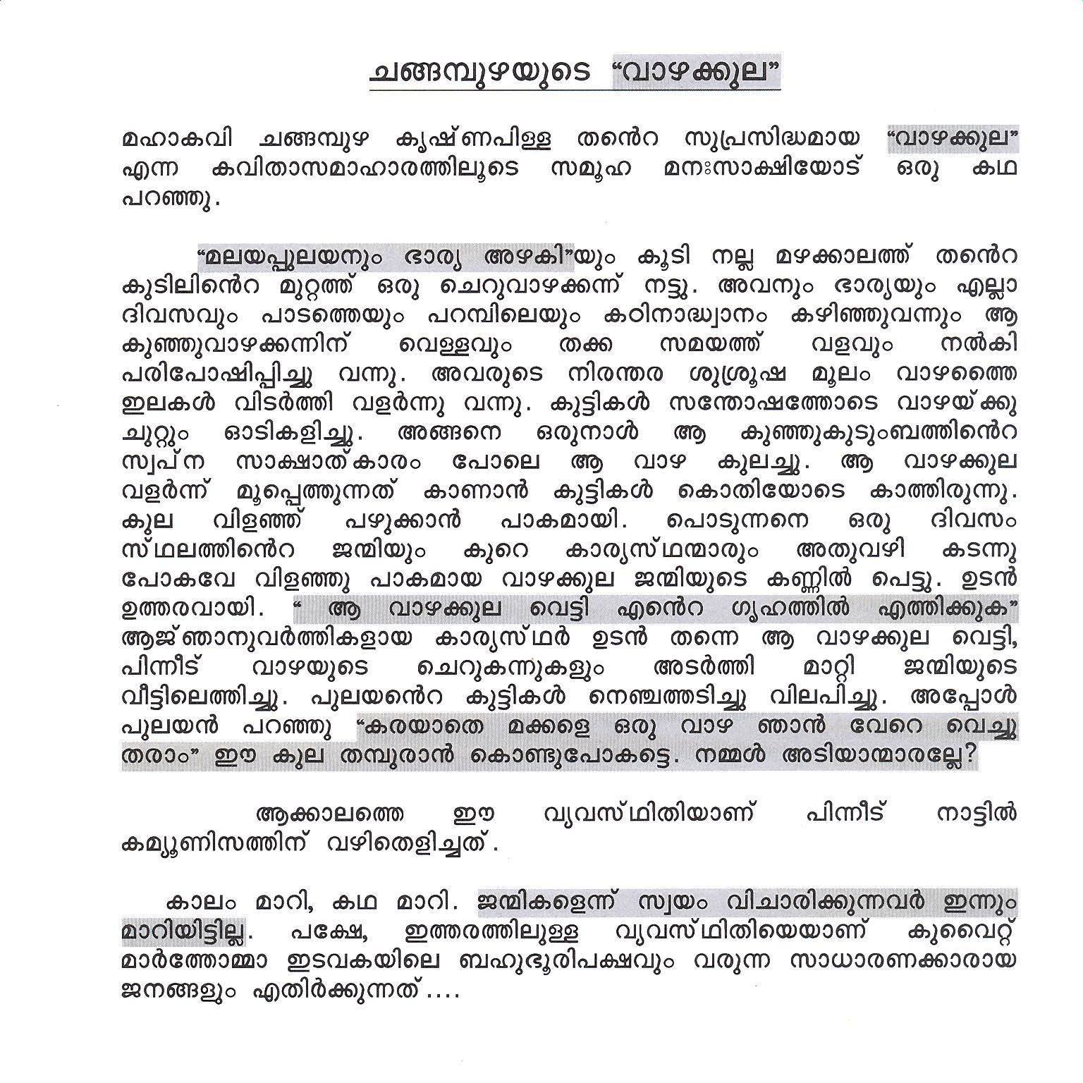 Internship report essay