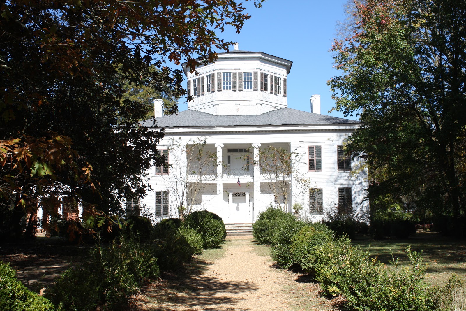 Waci 3