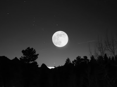 Risultati immagini per ciaula scopre la luna