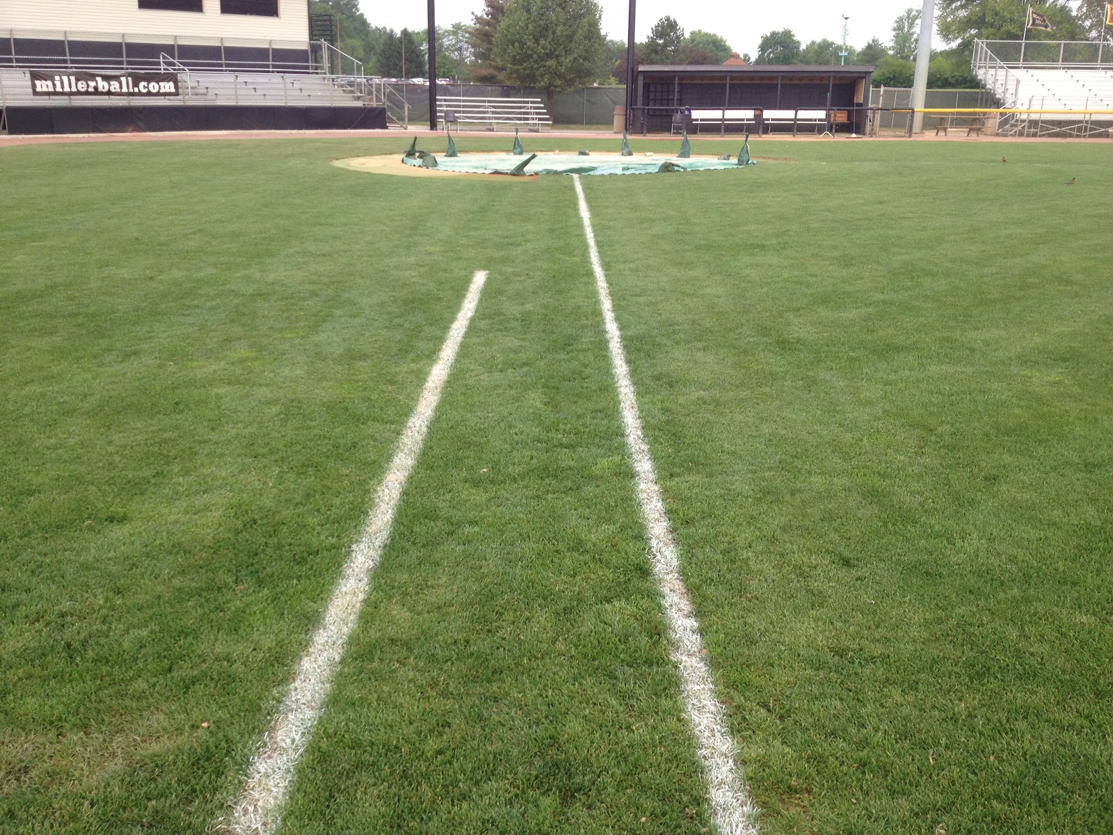 Smart Turf Grass Baselines for Baseball