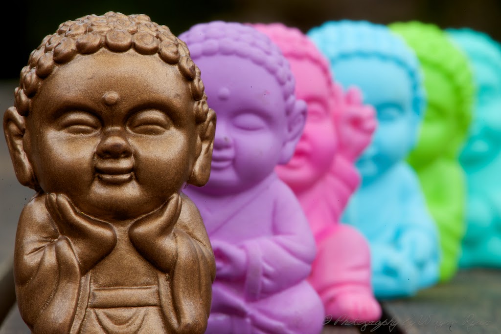 Wisdom Pocket Buddha