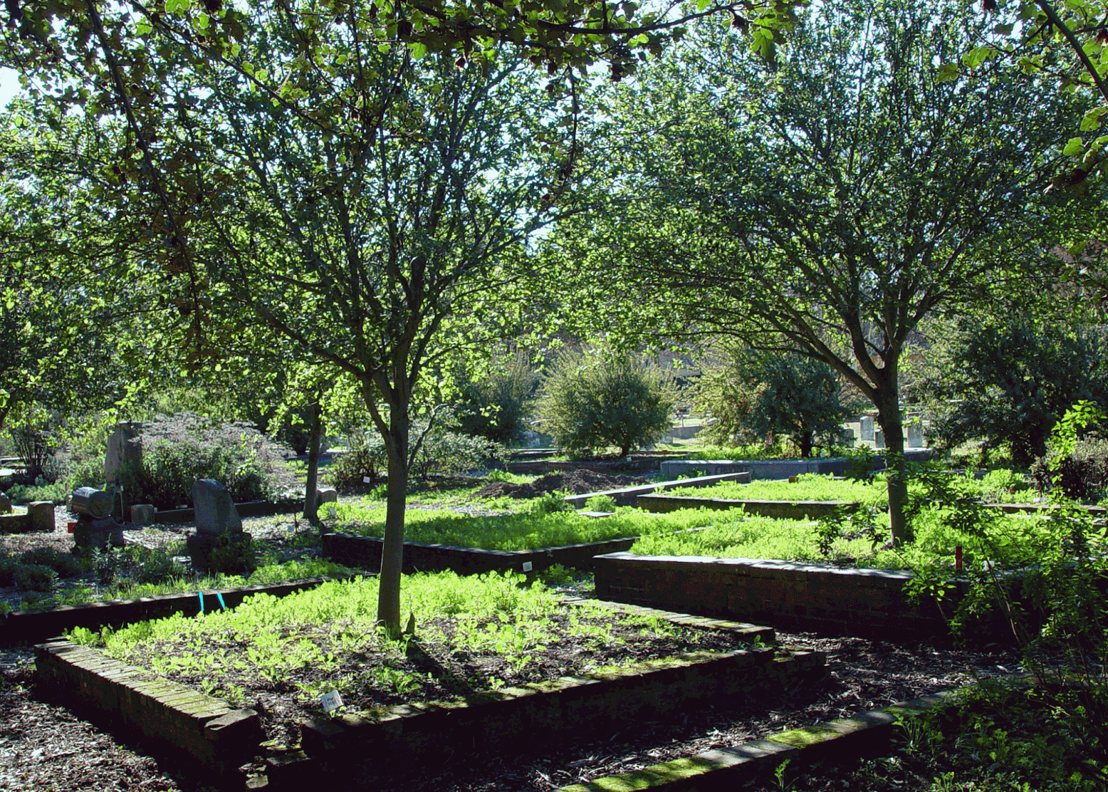 Eden By The Bay Sacramento Historic City Cemetary Native Plants