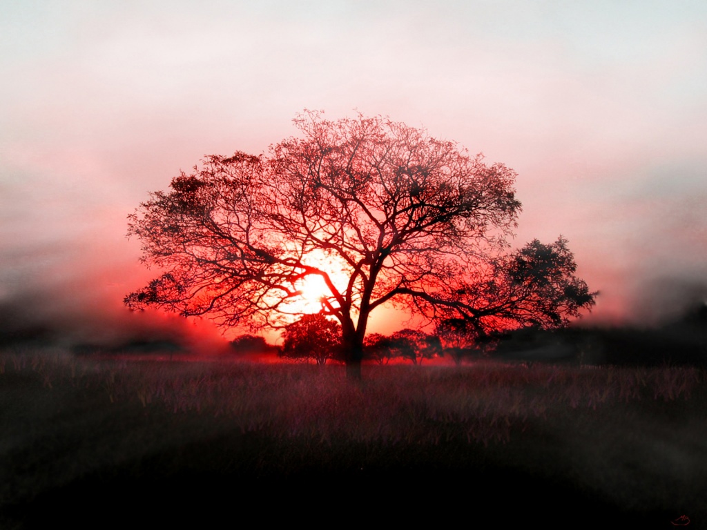 http://1.bp.blogspot.com/-qdgn9vw4CFw/UDXI1I2jG3I/AAAAAAAACE8/hPrSBcL1HYI/s1600/Wallpaper-+H%C3%ACnh+n%E1%BB%81n+m%C3%B9a+thu-+%E1%BA%A2nh+%C4%90%E1%BA%B9p+Vi%E1%BB%87t+(11).jpg