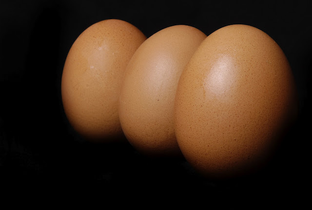 huevo, huevos de codorniz, yema, clara , Eggs , oeufs , Eier