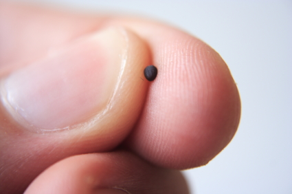 mustard seed size