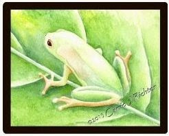 Chorus Frog