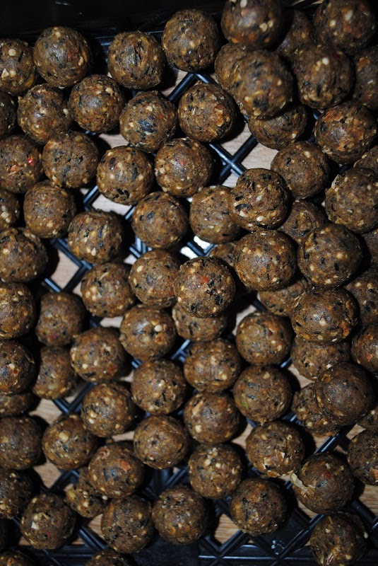 Przepisy Na Kulki Proteinowe Domowa Produkcja Aktualnosci Portal Expert Karp