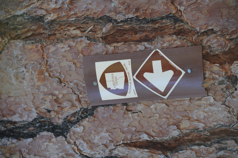 fry's marketplace queen creek az