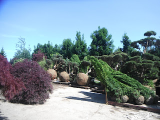 PAO Horticultural