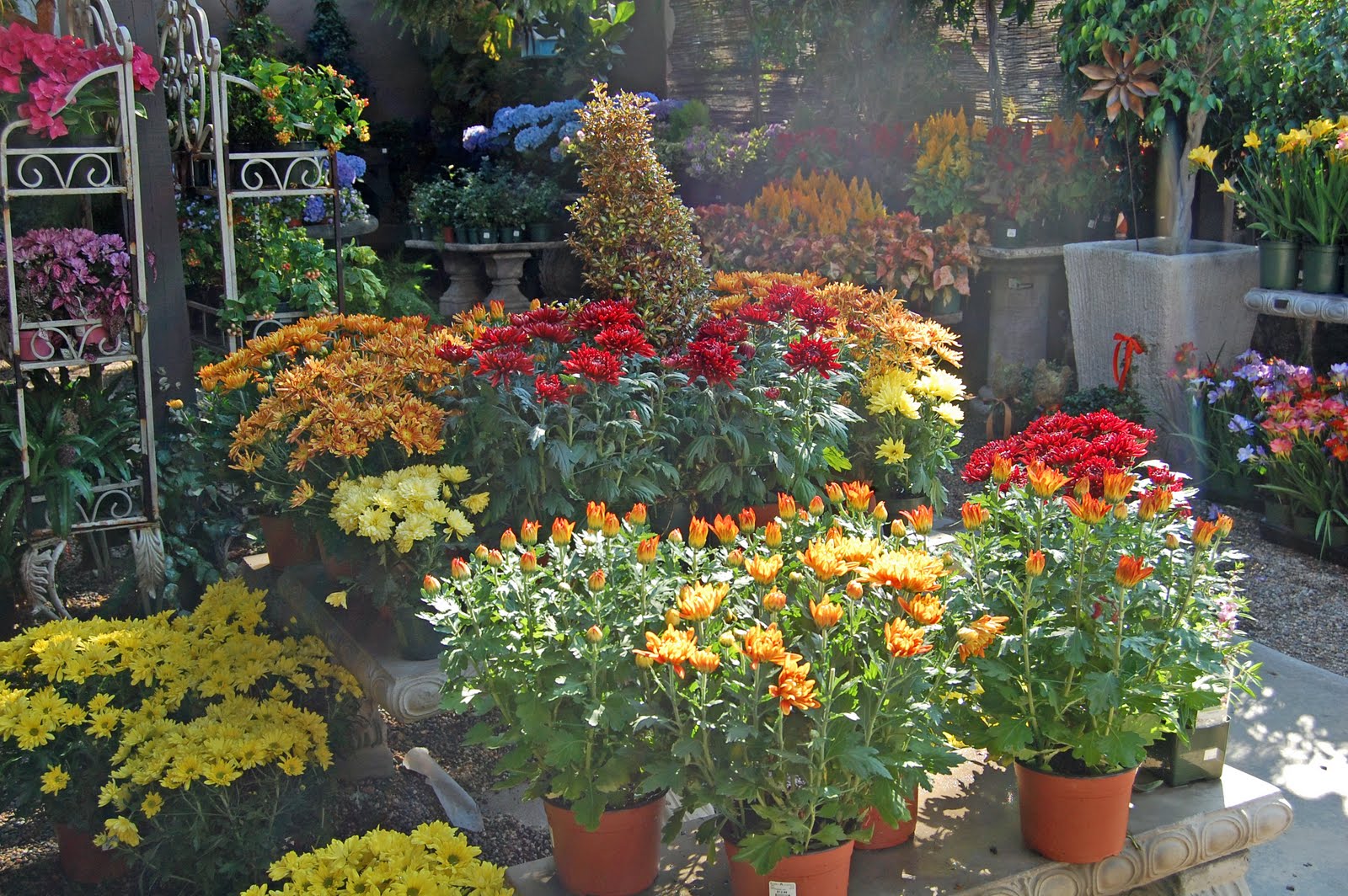 My Painted Garden: Fall Tour of Roger's Gardens