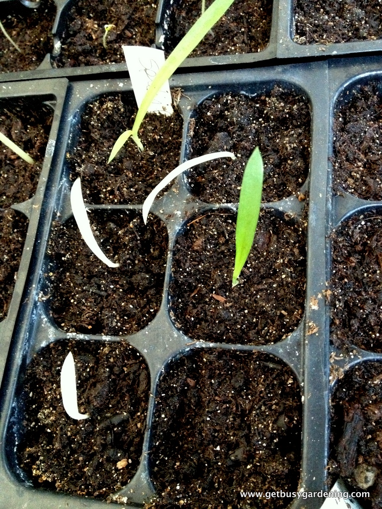 301 Moved Permanently