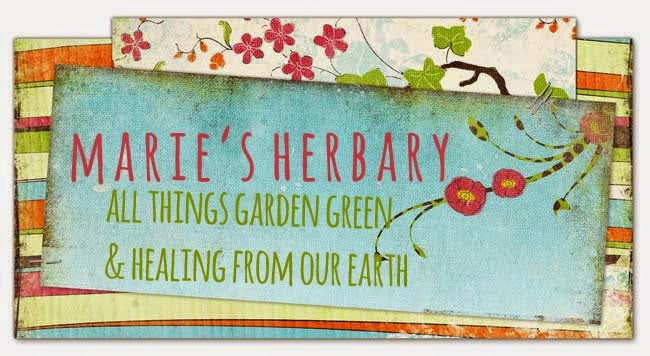Marie's Herbary