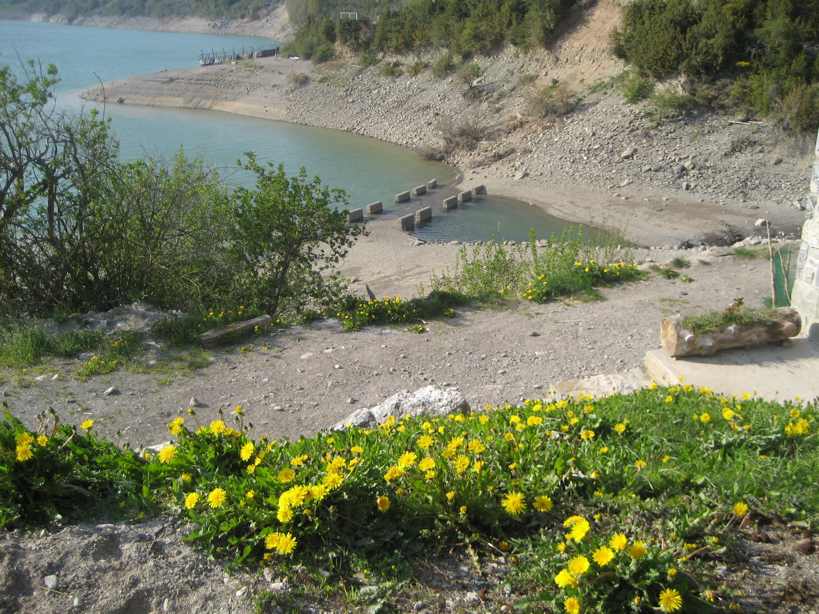 El bosque de trimbolera : abril 2011
