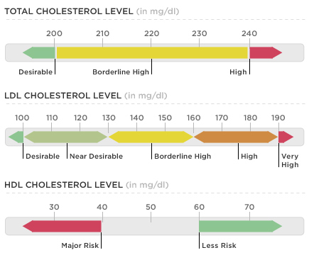 Blood Cholesterols: What Is The Normal Level Of ...