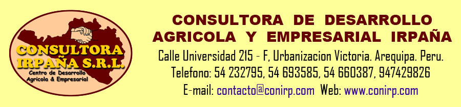 Consultora Irpaña S.R.L.