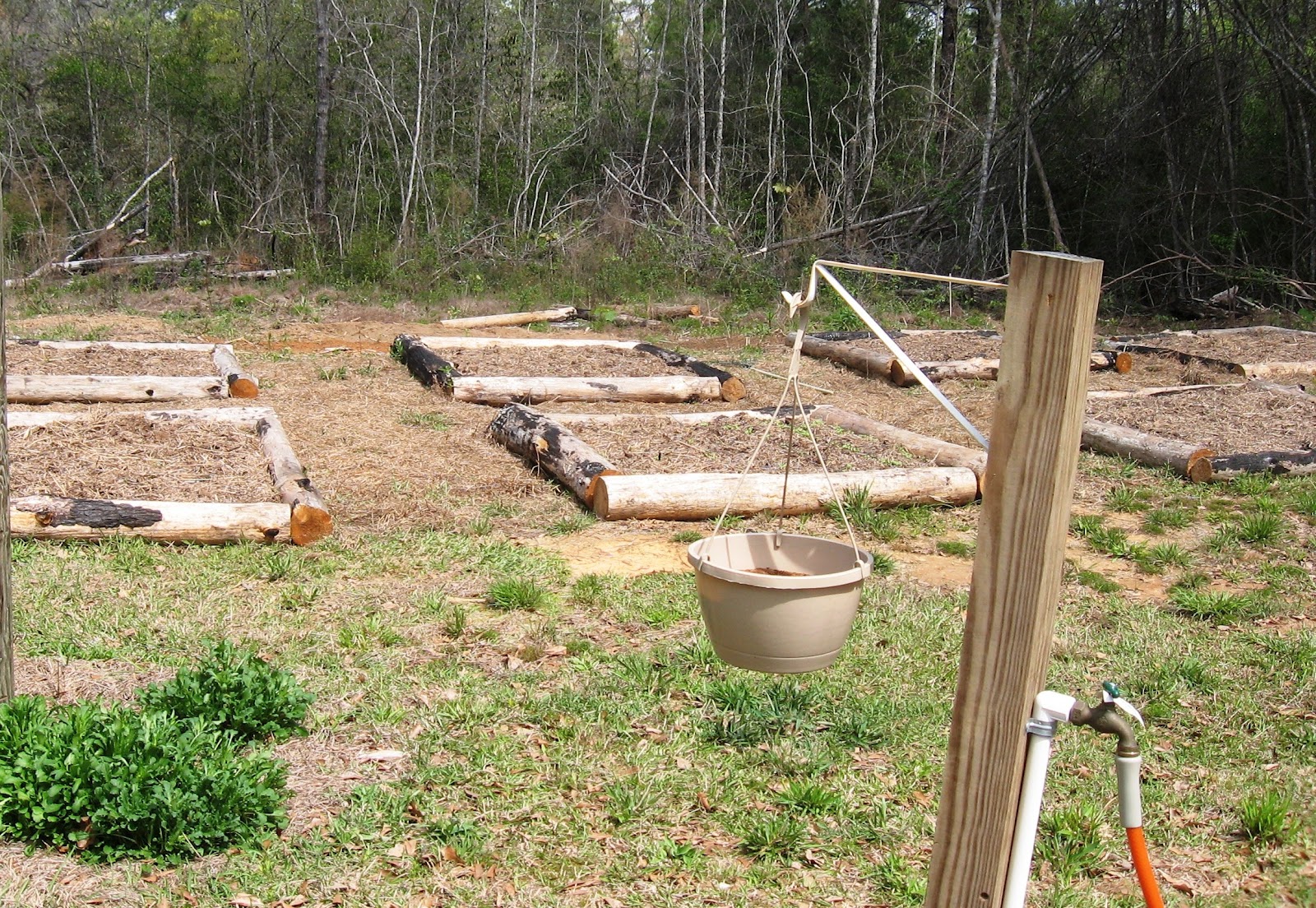 Sunflower Hill Homestead Building An Above Ground Vegetable Garden