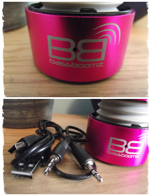 Bassboomz Bluetooth Speaker kit