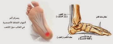 منتوجات السعيد الناصري الطبيعية العلاج بالحجامة التهاب باطن القدم