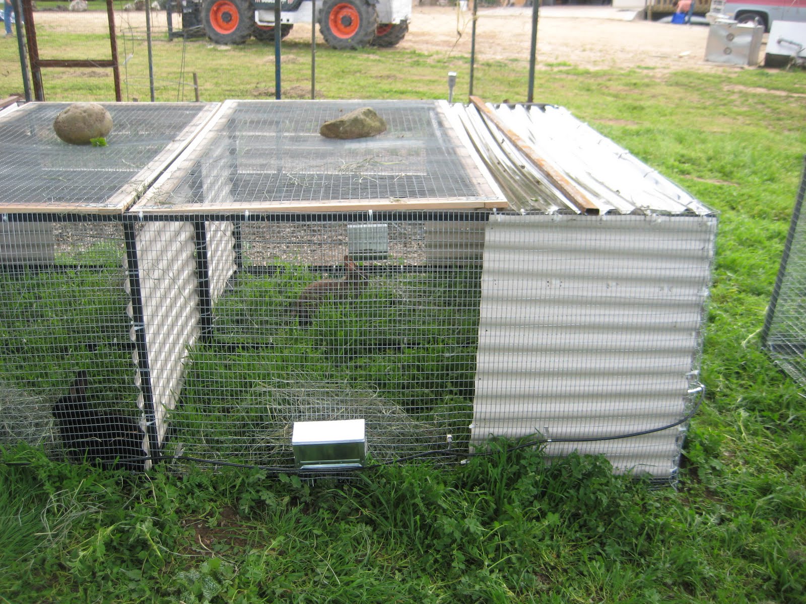 Rabbits/Meat/Hunting and more Our Rabbit Tractors