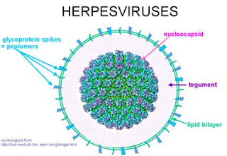 Foto obat alami untuk herpes di wajah secara alami